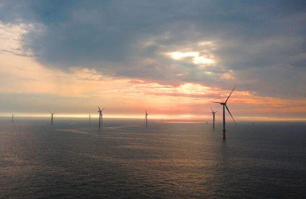 Offshore wind farm Meerwind South East in the evening sun.